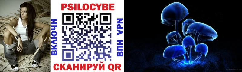 наркотики  Гаврилов-Ям  Галлюциногенные грибы Cubensis 